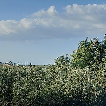La Villa Del Conte Barletta Zewnętrze zdjęcie