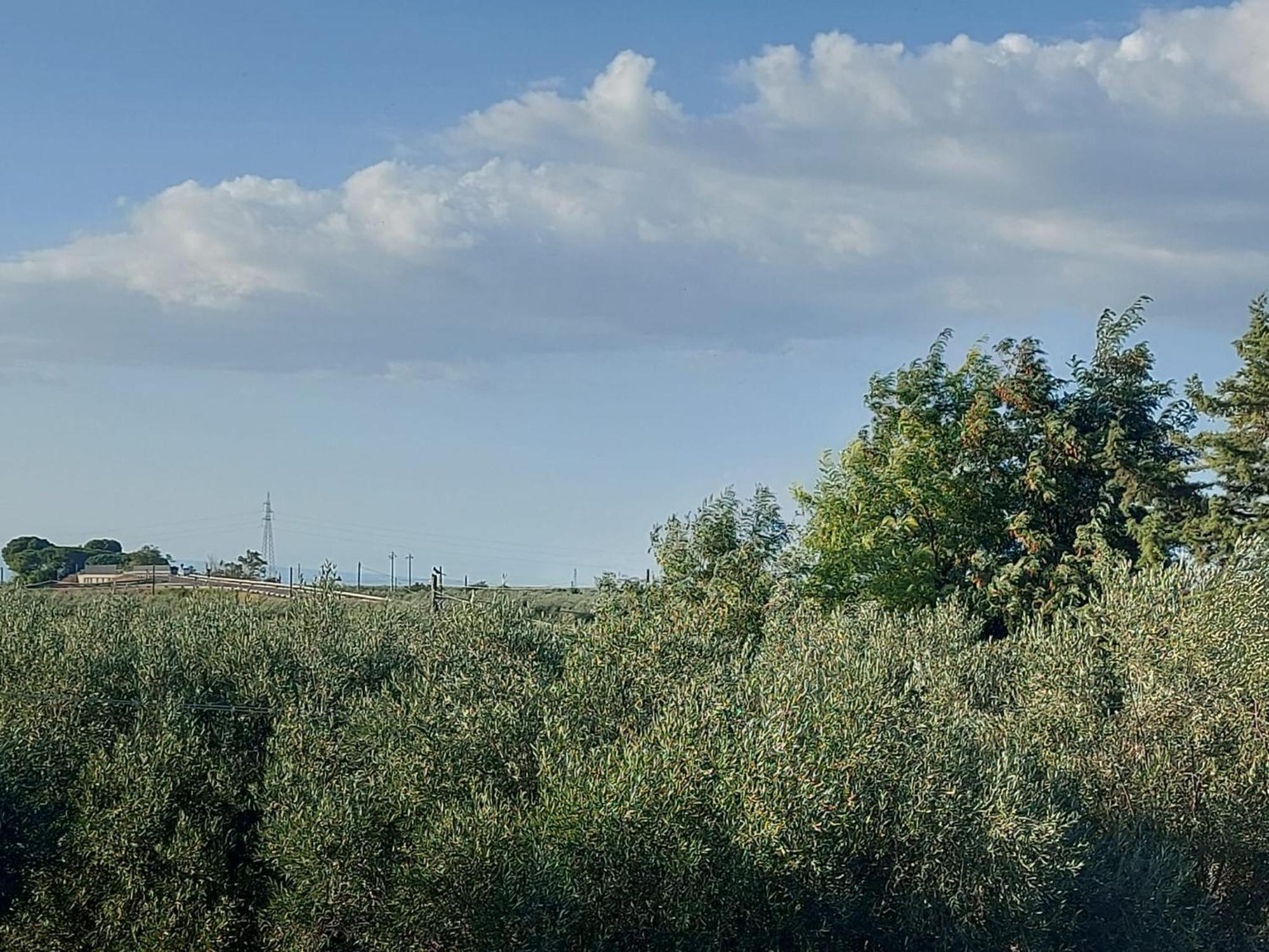 La Villa Del Conte Barletta Zewnętrze zdjęcie