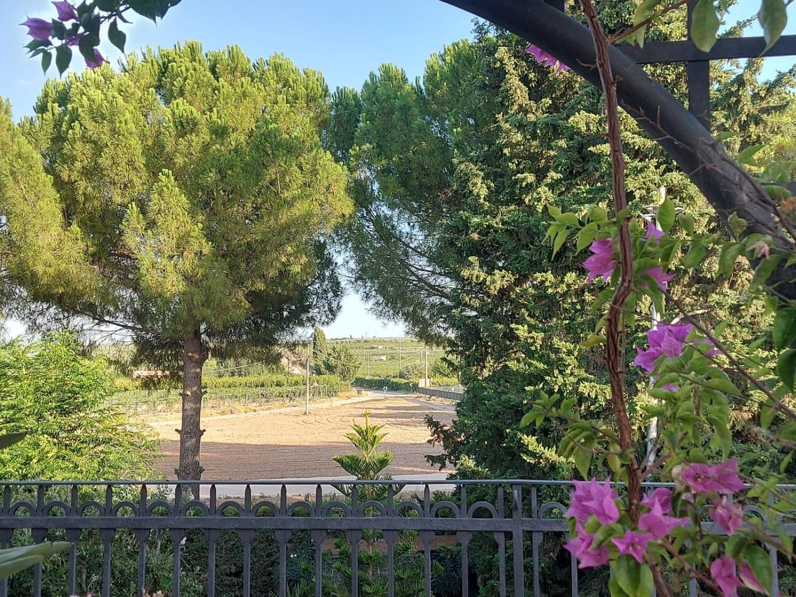 La Villa Del Conte Barletta Zewnętrze zdjęcie
