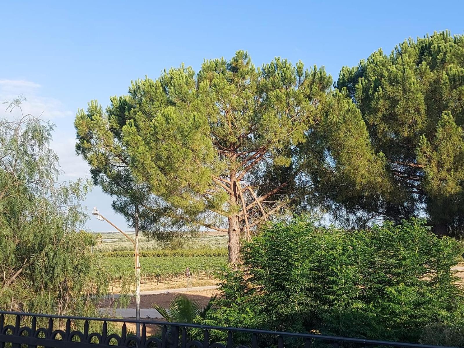 La Villa Del Conte Barletta Zewnętrze zdjęcie
