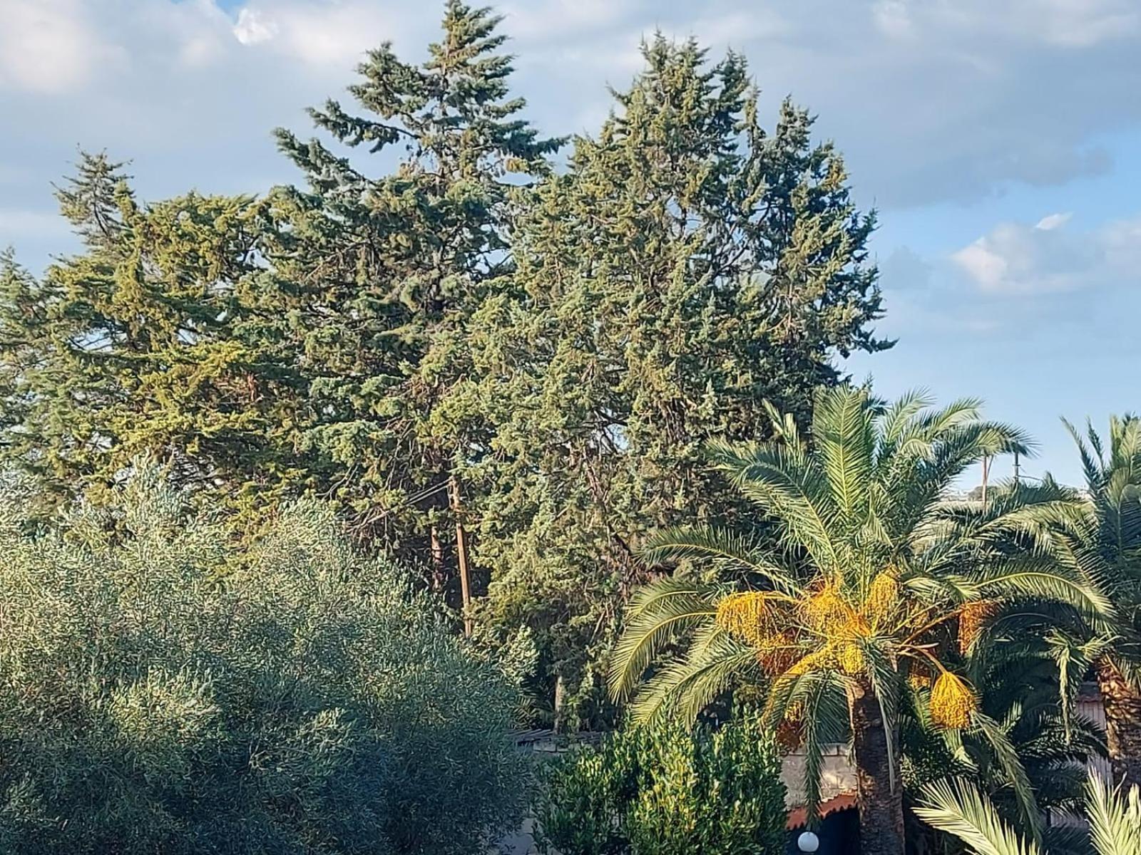 La Villa Del Conte Barletta Zewnętrze zdjęcie